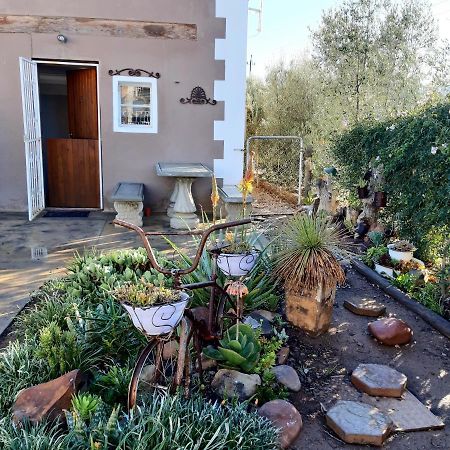 Carmel Villa B&B Or Self-Catering Calvinia Esterno foto